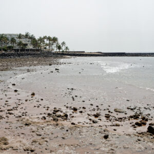 Strand mit Meer zur Mittagszeit auf den Kanarischen Inseln. Das Bild zeigt eine ruhige Landschaft mit Wasser, Strand und Palmen.
